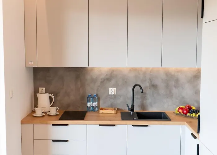 公寓 Plaza 41 By The Sea Ii 格但斯克