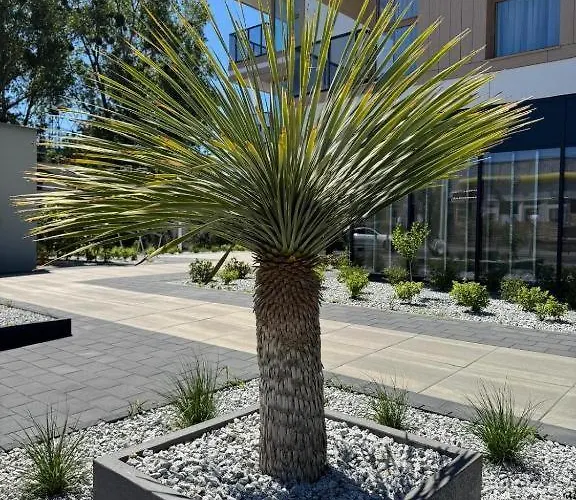 公寓 Plaza 41 By The Sea Ii *