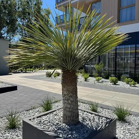 Апартаменты Plaza 41 By The Sea Ii *